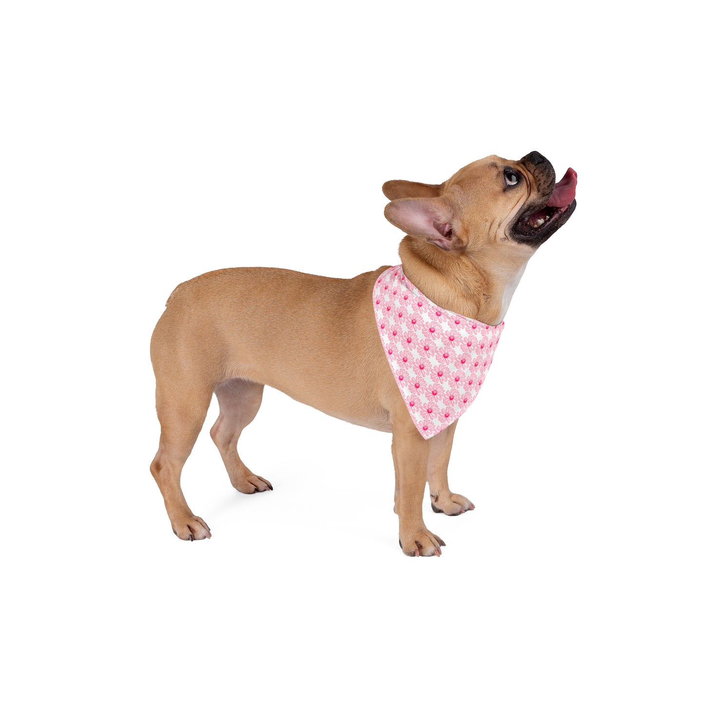 Pink Flower Pet Bandana